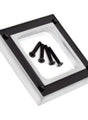 ACP Manual Shifter Bezel Satin Chrome Ford Mustang 1964-1968 Mercury Cougar 1967-1968