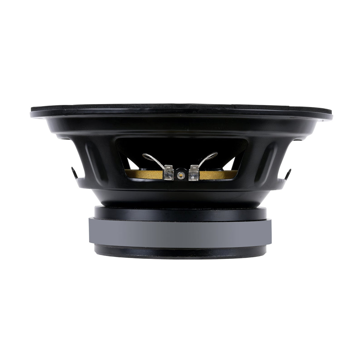 8” Dynamic Loudspeaker (APSP-1050) Audiopipe