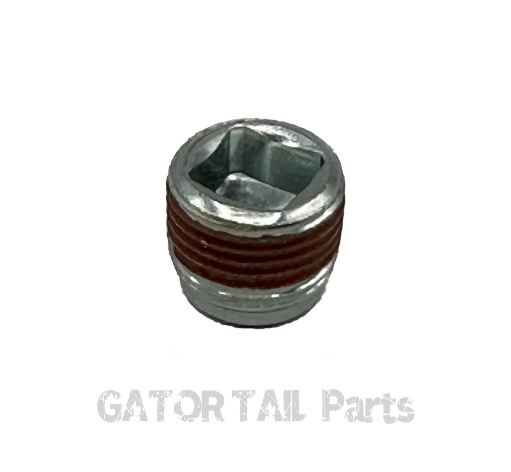 Oil Drain Plug Briggs