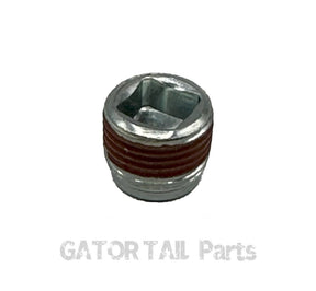 Oil Drain Plug Briggs