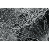 Moto Armor Replacement Glass