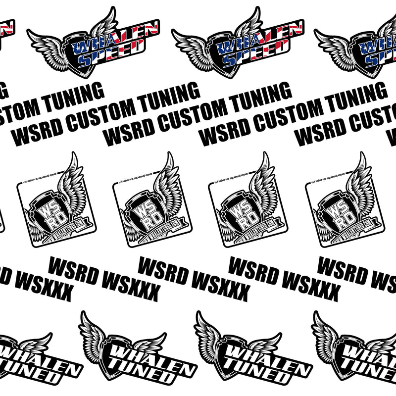 WSRD WSXXX Custom Motec Tunes | Polaris RZR