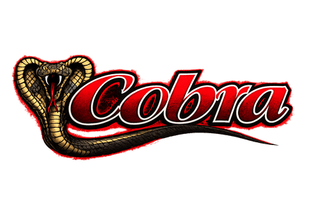 “Cobra” EZ-GO Series Electric Golf Cart Motor - 36V 13.7HP 22-25MPH