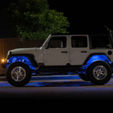 Morimoto Rock Light Kit: Color Changing RGB