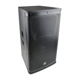 10” Professional 2-Way Passive Loudspeaker (DJAK-P10) Audiopipe