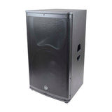 15” Professional 2-Way Passive Loudspeaker (DJAK-P15) Audiopipe