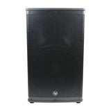 15” Professional 2-Way Passive Loudspeaker (DJAK-P15) Audiopipe