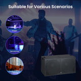 DJAP-SUP15202D 15“ Professional Passive Loudspeaker Audiopipe