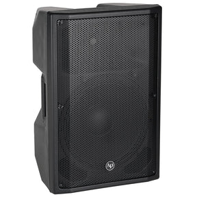 15” 2-Way Professional Passive Loudspeaker (DJAV-X15) Audiopipe