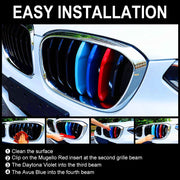 M-Colored Stripe Grille Insert Trims Compatible with BMW 11-20 X3 X4 Flashark