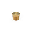 3/4" NPT Brass Air Inlet Plug HornBlasters