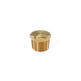 3/4" NPT Brass Air Inlet Plug HornBlasters