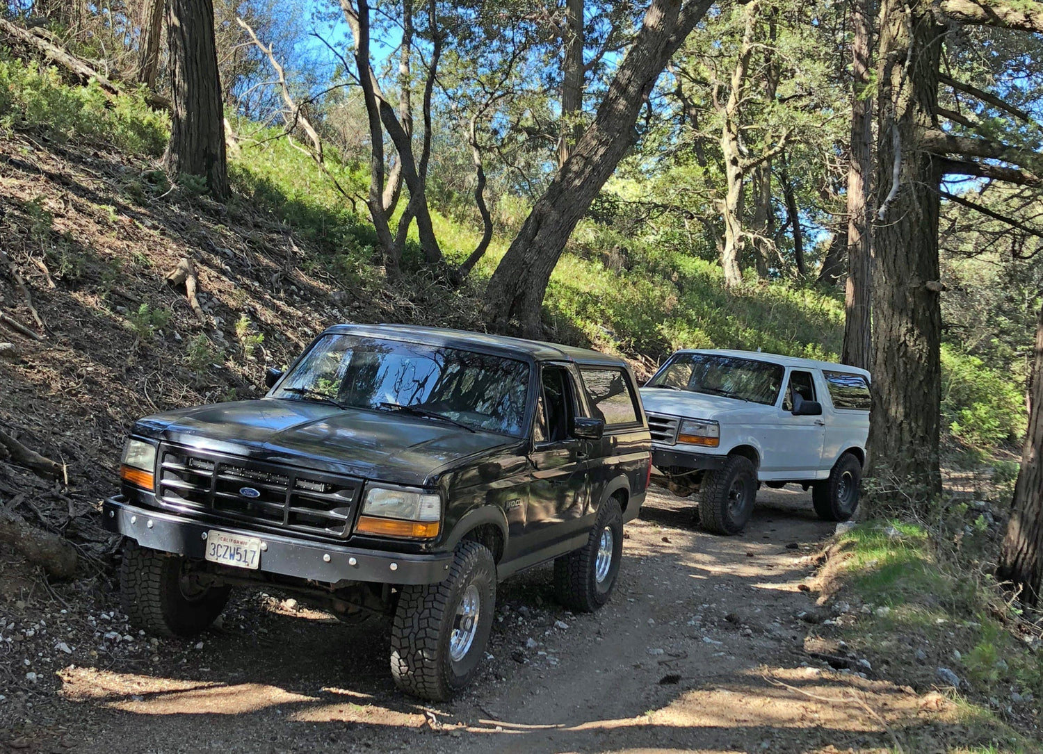 Ford Bronco Leveling Lift Kit, 1980-1996 Broncos and 4WD F-150s Solo Motorsports