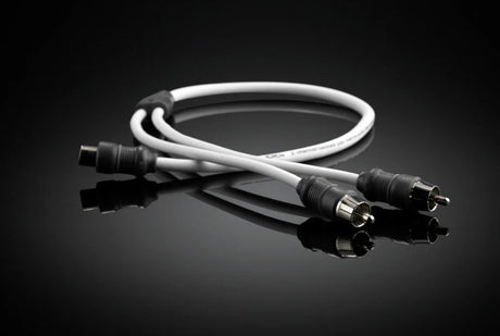 JL AUDIO 2-channel Marine Audio Y-Adaptor - 1 Female to 2 Male RCA XMD-WHTAICY-1F2M