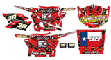 Polaris RZR XP 900 Graphic Kit - Hess Motorsports Custom Kit