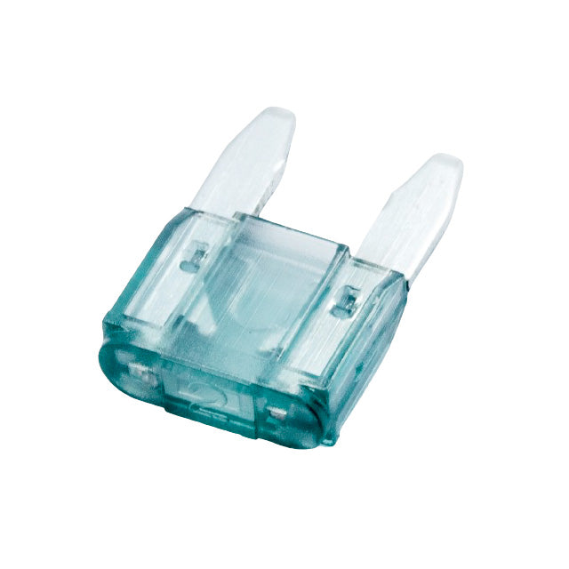 2 Amp APM Mini Fuse TekShack