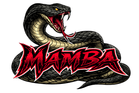 “Mamba” EZ-GO Sepex/PDS Electric Golf Cart Motor - 48V 12HP 12-14MPH