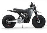 Mini RCR F2 Electric 2 Wheel E-Bike