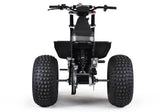 Mini RCR T3 Electric 3 Wheel E-Bike Base Model