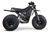 Mini RCR T3 Electric 3 Wheel E-Bike Base Model