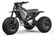 Mini RCR T3 Electric 3 Wheel E-Bike Base Model