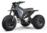 Mini RCR T3 Electric 3 Wheel E-Bike Base Model