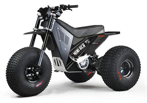 Mini RCR T3 Electric 3 Wheel E-Bike Base Model