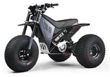 Mini RCR T3 Electric 3 Wheel E-Bike Base Model