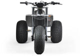 Mini RCR T3 Electric 3 Wheel E-Bike Base Model