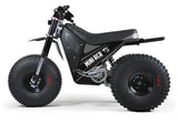 Mini RCR T3 Electric 3 Wheel E-Bike Base Model