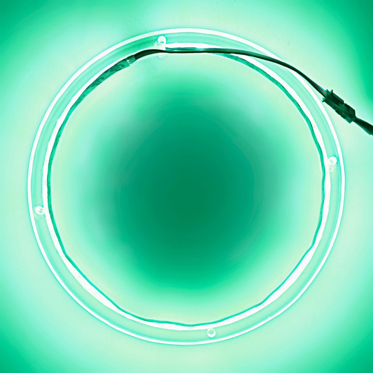 10" RGB LED Speaker Rings (NL-RIAPMP-10RGB) Audiopipe