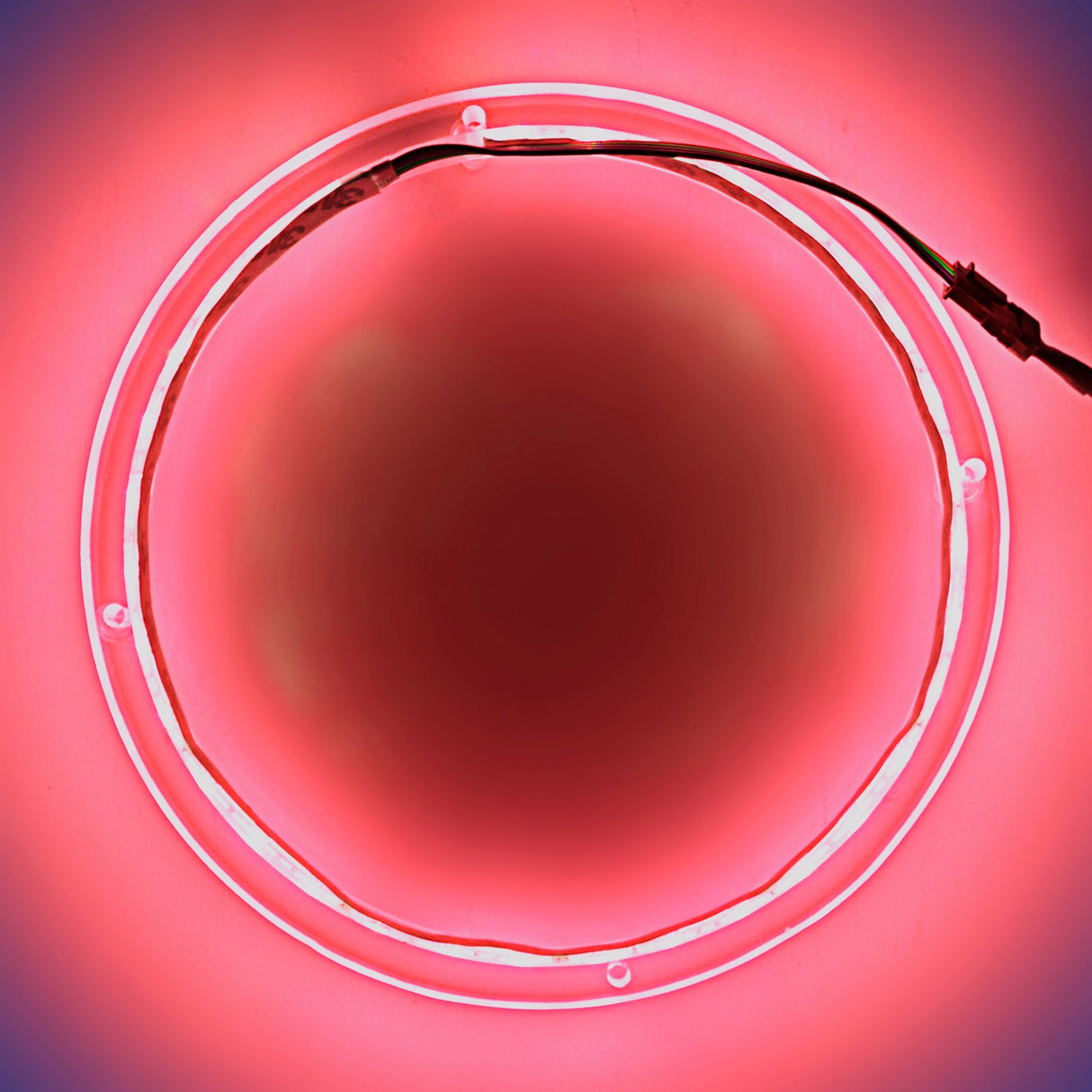 10" RGB LED Speaker Rings (NL-RIAPMP-10RGB) Audiopipe