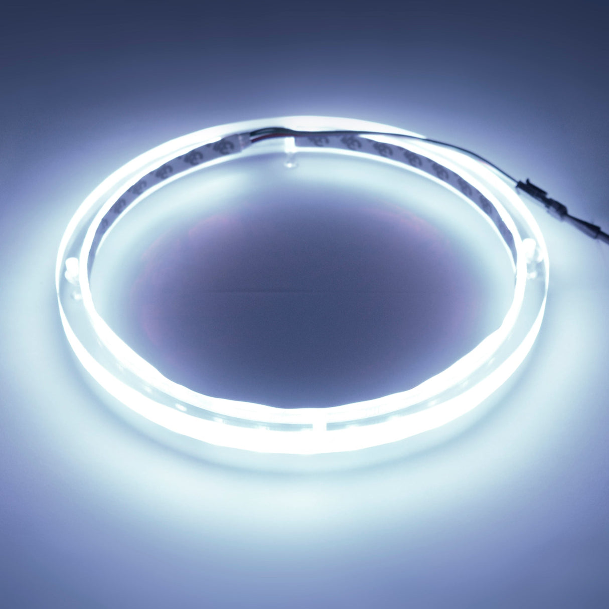 10" RGB LED Speaker Rings (NL-RIAPMP-10RGB) Audiopipe