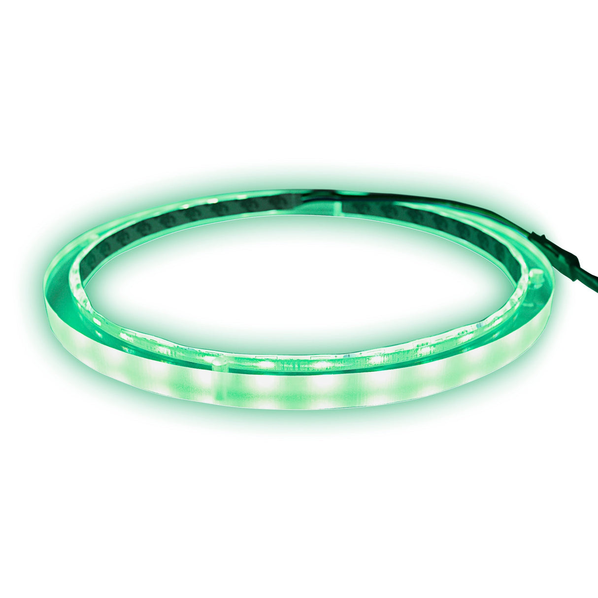 8" RGB LED Speaker Rings (NL-RIAPMP-8RGB) Audiopipe