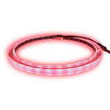 10" RGB LED Speaker Rings (NL-RIAPMP-10RGB) Audiopipe