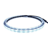 10" RGB LED Speaker Rings (NL-RIAPMP-10RGB) Audiopipe