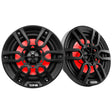 DS18 NXL-6/BK DS18