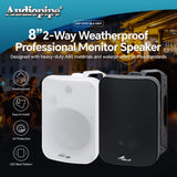 8” 2-Way Weatherproof Professional Monitor Speaker (ODP-870T-BLK), Sold individually Audiopipe