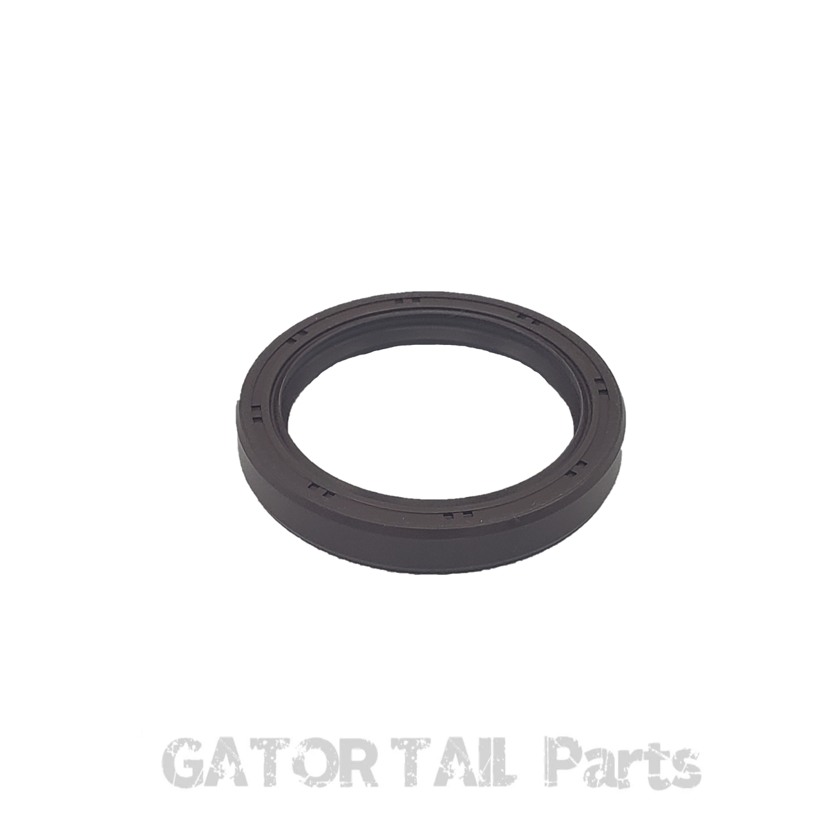 Engine Oil Seal Briggs