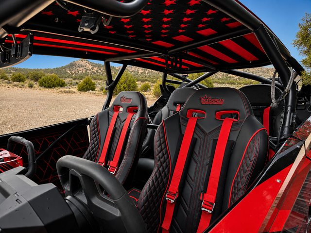 RZR Roof Kit DKZ Offroad