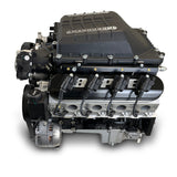GM LS Compatible 427 c.i. Pro Series Engine - 830 Horsepower - Deluxe Dressed - Black Pulley Kit - Holley Terminator X EFI System