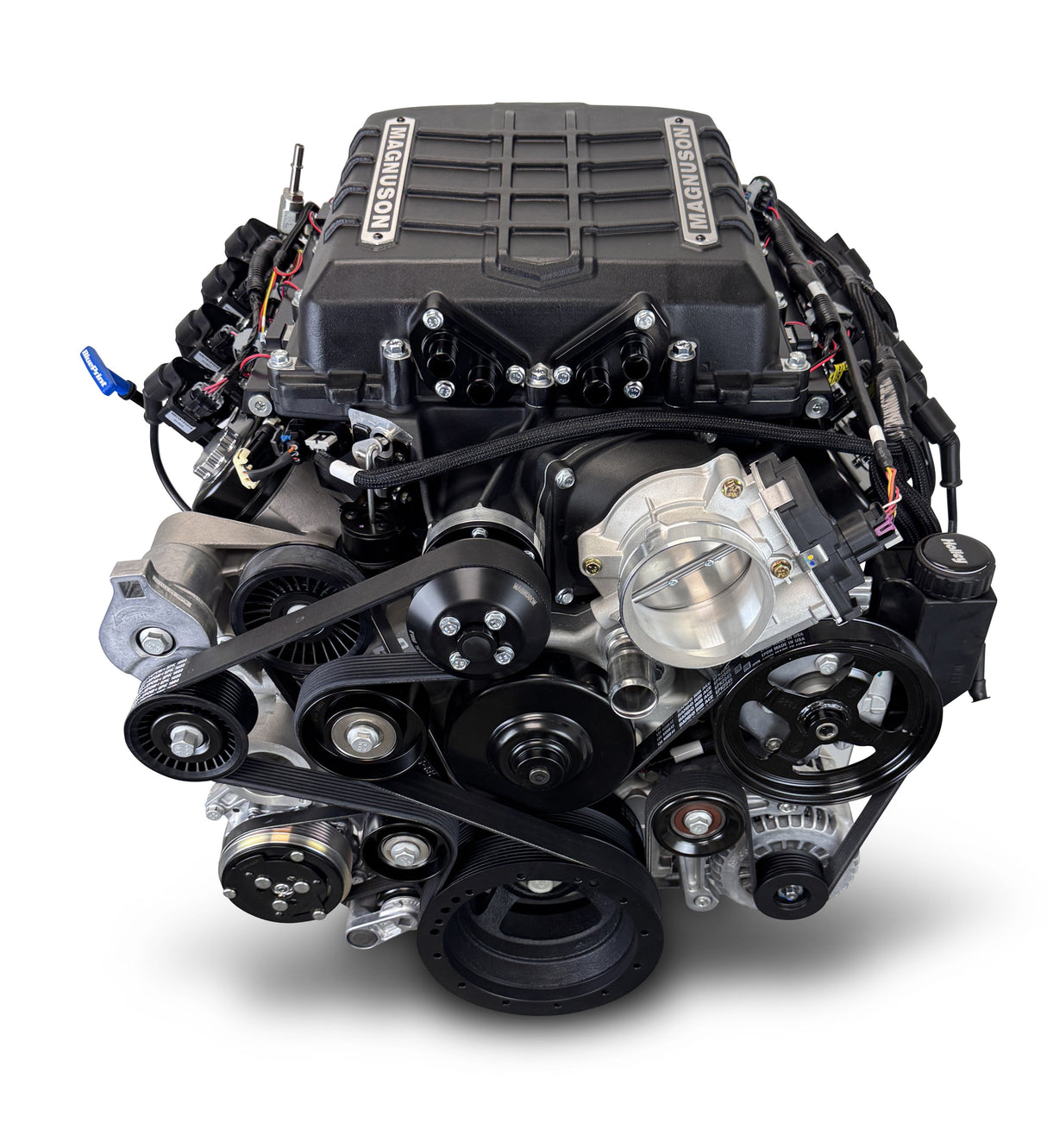 GM LS Compatible 427 c.i. Pro Series Engine - 830 Horsepower - Deluxe Dressed - Natural Pulley Kit - Holley Terminator X EFI System
