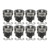 2008-2010 Powerstroke 6.4L Mahle Set of 8 Pistons w/ Rings - 0.25MM (224-3666WR-0.25MM)