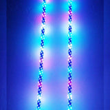 R1 WILDCAT EXTREME LED LIGHT WHIPS (Pair)