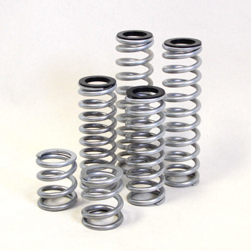 Dual Rate Springs Kit | Polaris RZR 900 Trail 50 Inch RT Pro UTV