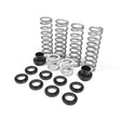 Dual Rate Springs Kit | Polaris RZR 900 (Trail FOX Edition) RT Pro UTV