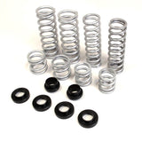 Dual Rate Springs Kit - Heavy Duty | Polaris RZR XP 900 Walker Evans Edition (2 Seat) RT Pro UTV