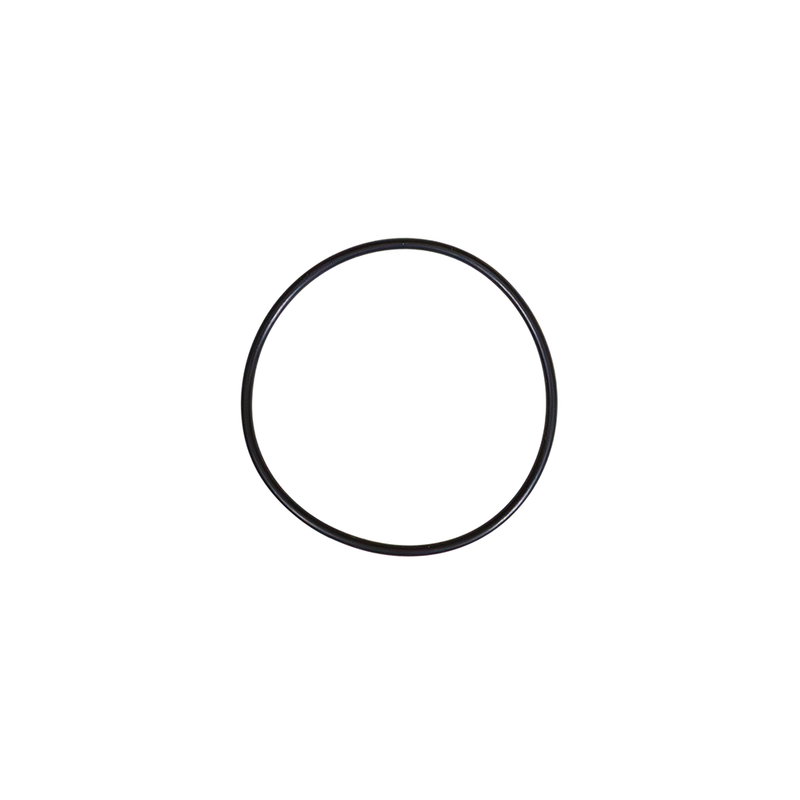 Replacement ZZP Catch Can O-Ring