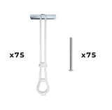 75-Pack 3/16"-24 Quick Channel Toggle Anchors with Bolts
