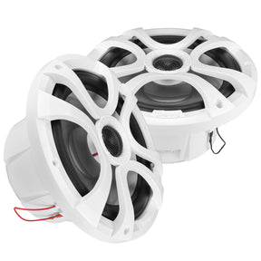 TPT-CX8MW-4 Marine Timpano Audio